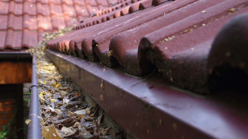 penyebab talang air tersumbat